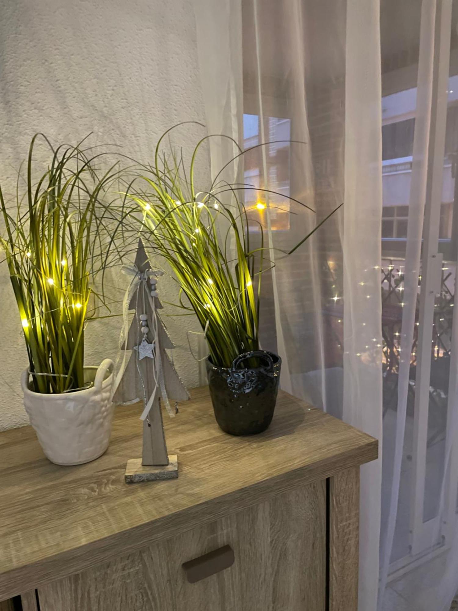 Flamenco Chill Apartment Torrevieja Dış mekan fotoğraf